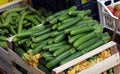 Zucchini in a wooden box