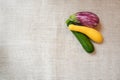 Zucchini, yellow squash and striped eggplant harvested fresh from the garden on a rustic burlap tablecloth Royalty Free Stock Photo