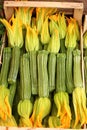 Zucchinis with flowers