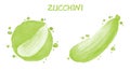 Zuccini. Watercolor illustration