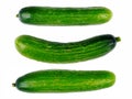 Zuchinni Royalty Free Stock Photo