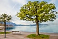 Zug promenade, Zug, Switzerland Royalty Free Stock Photo