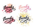 Zumba letter lettering calligraphy dance vector brush Royalty Free Stock Photo