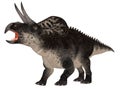 Zuniceratops Royalty Free Stock Photo