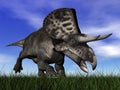 Zuniceratops dinosaur - 3D render Royalty Free Stock Photo