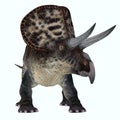 Zuniceratops Dinosaur over White Royalty Free Stock Photo