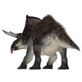 Zuniceratops Dinosaur Tail Royalty Free Stock Photo