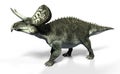 Dinosaur: Ornithischia Zuniceratops, 3D Illustration Royalty Free Stock Photo