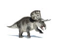 Zuniceratops on white background Royalty Free Stock Photo