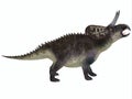 Zuniceratops on White Royalty Free Stock Photo