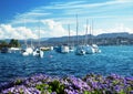 Zurich lake with yachts Royalty Free Stock Photo
