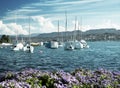 Zurich lake with yachts Royalty Free Stock Photo