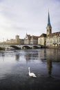 Zurich old town city center with bridge over Limmat river and a swan