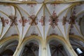 Close-up on the ceiling and vaults decorated with frescoes inside Saint Walburgiskerk church