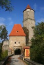 Zvikov Castle