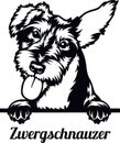 Zwergschnauzer Dog - Peeking Dog Breed - Pet Dog Vector Portrait, Dog Silhouette Stencil Royalty Free Stock Photo