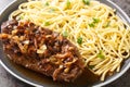 Zwiebelrostbraten onion topped roast beef with gravy and spaetzle closeup on the plate. Horizontal Royalty Free Stock Photo