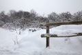 Snow landscape at nature reserve, Knokke. Royalty Free Stock Photo