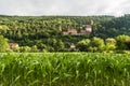 Zwingenberg Castle in Neckar Valley, Germany