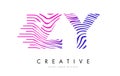 ZY Z Y Zebra Lines Letter Logo Design with Magenta Colors