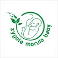 Zygote morula baby exclusive logo