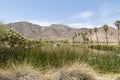 Zzyzx California Royalty Free Stock Photo