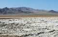 Zzyzx, Soda Lake, Mojave Desert Royalty Free Stock Photo