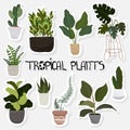 Set of hygge vector illustration plants in pots stickers, patches, pins collection etc.