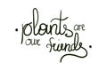 Vector stock illustration with stylish lettering - Plants are our friends isolated on white background