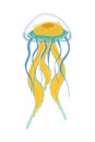 Jellyfish vector stock cartoon illustration isolated on white background.