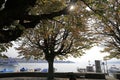 ZÃÂ¼rich: Promenade at Port of ZÃÂ¼rich on ZÃÂ¼richsee, boats and a ship berth Royalty Free Stock Photo