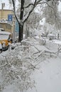 ZÃÂ¼rich: Public traffic collaps after heavy snowfall and a lot of broken trees on the pedrestrian way and roads Royalty Free Stock Photo