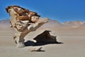 ÃÂrbol de Piedra. Siloli desert. PotosÃÂ­ Department. Bolivia