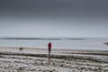 A dog walker in red on a bad weather day on the beach. ÃÅ½le d `OlÃÂ©ron Royalty Free Stock Photo