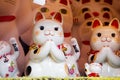 ÃÂ¯ÃÂ»ÃÂ¿Ceramic, Japan, Lucky Cat, Display Cabinet, Jin Yun Laifu