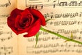 ÃÅusical notes and red rose Royalty Free Stock Photo