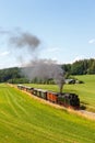 Ãâchsle steam train locomotive railway portrait format near Ochsenhausen Wennedach in Germany