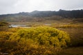 ÃÅ¾ingvellir Iceland Royalty Free Stock Photo