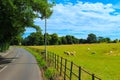 ÃÂ flock of sheep grazing on a roadside pasture England Royalty Free Stock Photo