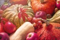 ÃÂutumn agricultural still life from the harvest of fruits and vegetables, selective focus, flat lay Royalty Free Stock Photo