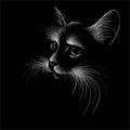 The Vector logo cat for tattoo or T-shirt design or outwear. Cute print style cat background. This hand drawing would be nice to