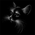 The Vector logo cat for tattoo or T-shirt design or outwear. Cute print style cat background. This hand drawing would be nice to