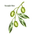 ÃÂ¾ÃÂ»ÃÂ¸ÃÂ²ÃÂºÃÂ¸ beautiful branch with olives in low poly style