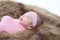 0-1 month Asian newborn baby lie down on brown fur in studio, toddler infant open eye seeking some voice near her, baby open eye