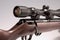 001 17 hmr rifle with scope