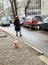 02.03.2024 - Brest, Belarus - Senior citizen walks her dog out. Pets