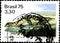 02.09.2020 Divnoe Stavropol Krai Russia postage stamp Brazil 1975 Fauna Conservation Caiman yacare cayman on a river