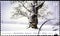 02 09 2020 Divnoe Stavropol Territory Russia the postage stamp Germany 2006 Seasons Winter old tree in a snowy field