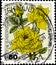 02 09 2020 Divnoe Stavropol Territory Russia the postage stamp Germany West Berlin 1982 Garden Roses Hybrid tea rose with yellow