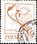02.11.2020 Divnoe Stavropol Territory Russia the Postage Stamp Poland 1974 Flower Drawings by Stanislaw Wyspianski Rose Pattern
